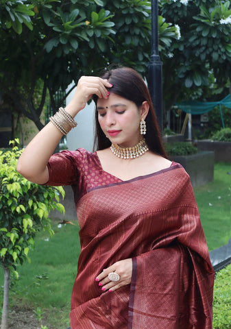 Elegant Jacquard Silk Saree with geometric borders