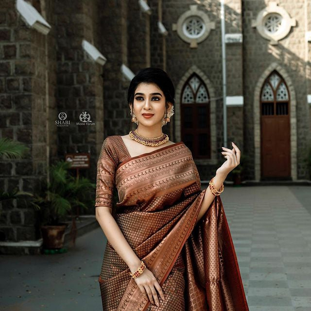 Cotton silk saree with traditional patterns