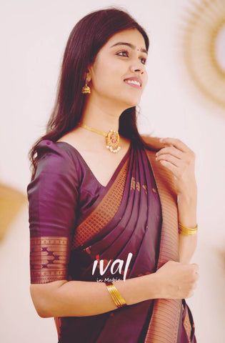 Elegant jacquard silk saree in pastel shades