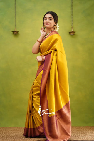 Vintage Kanjeevaram silk saree