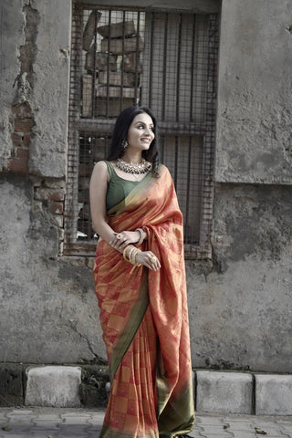 Pure katan silk saree with intricate floral jaal