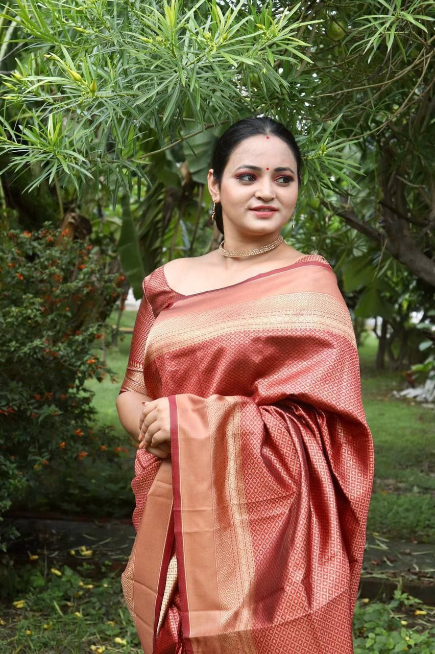 Silky Smooth Saree with Intricate Motifs